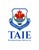 English schools in Toronto: TAIE International Institute
