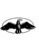 Eagle International