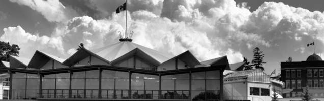 inglês em Stratford com Language International