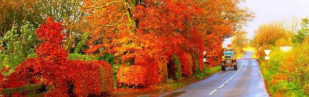 inglês em Glenrothes com Language International