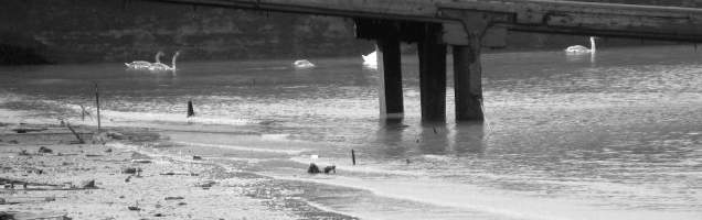 inglês em Greenhithe com Language International