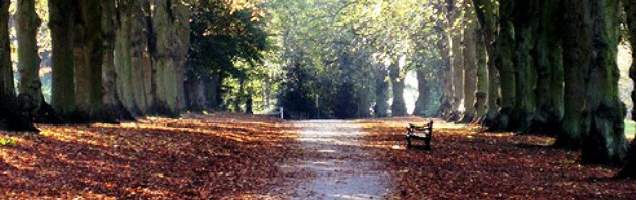 الإنجليزية في هاربيندين مع Language International