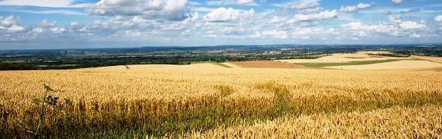 Curso de inglés en Lambourn con Language International