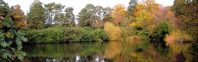 inglês em Liphook com Language International