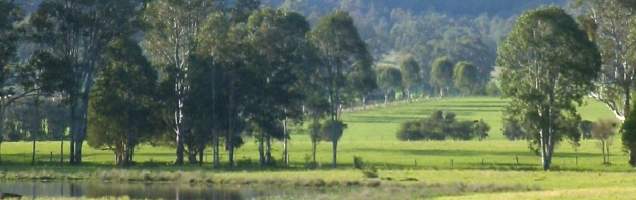 Curso de inglés en Millfield con Language International