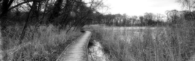 Curso de inglés en Pudsey con Language International