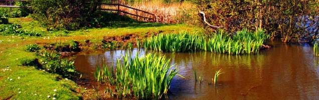 inglês em Romford com Language International