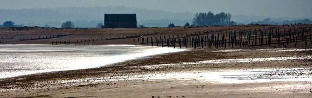 inglês em Rye com Language International