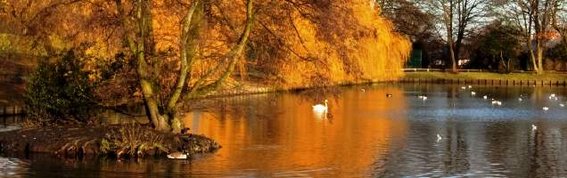 inglês em Smethwick com Language International