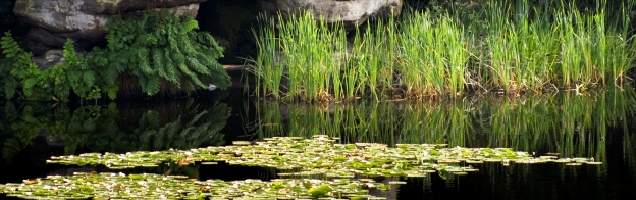 inglês em Uckfield com Language International