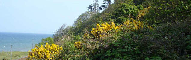 inglês em Bray com Language International