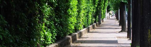 italiano em Seregno com Language International