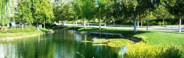 English in Bridgeport with Language International