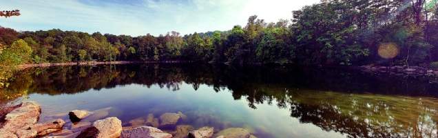 inglês em Fairfield com Language International