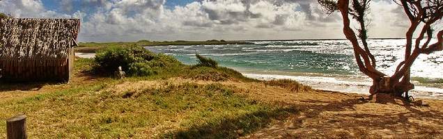 inglês em Laie com Language International