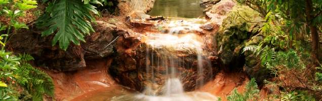 الإنجليزية في أوسيانسيدي مع Language International