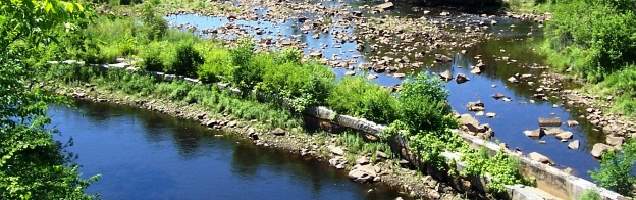 inglês em Sanford com Language International