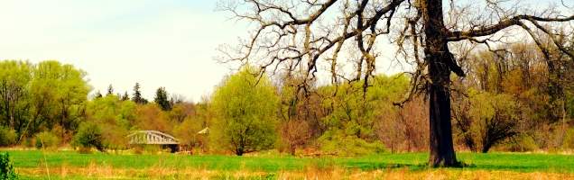 inglês em Brampton com Language International