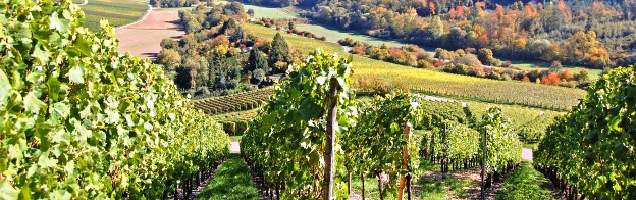 alemão em Heilbronn com Language International