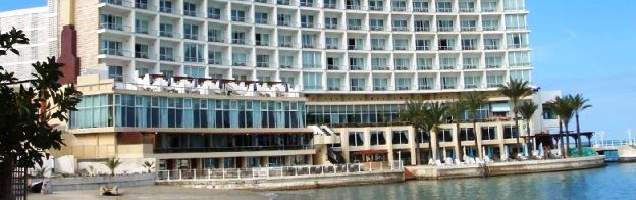 árabe em Montaza com Language International