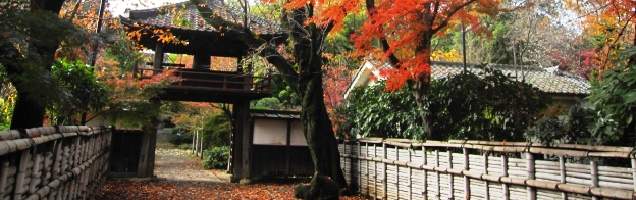 japonês em Kawagoe com Language International