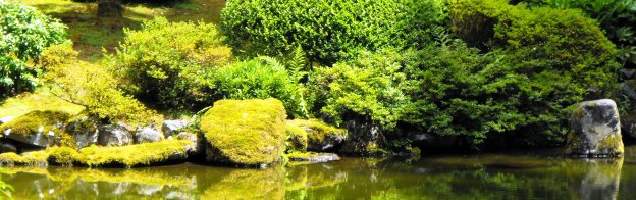 Curso de japonés en Shiki con Language International