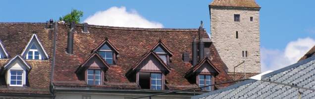 alemão em Uster com Language International