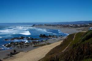 Spanish in Pichilemu with Language International