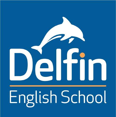 Delfin English School Dublin Dublin Ireland Reviews Language International