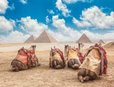 Arabic schools in Cairo: Learn Arabic & Live in Your Teacher's Home in Cairo with Home Language International