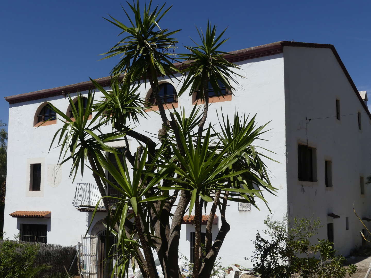 Gema Cárdenas Formation (Tarragona, Spain) Reviews Language International