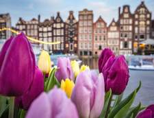 Школы голландского языка в Амстердам: InFluent: Amsterdam
