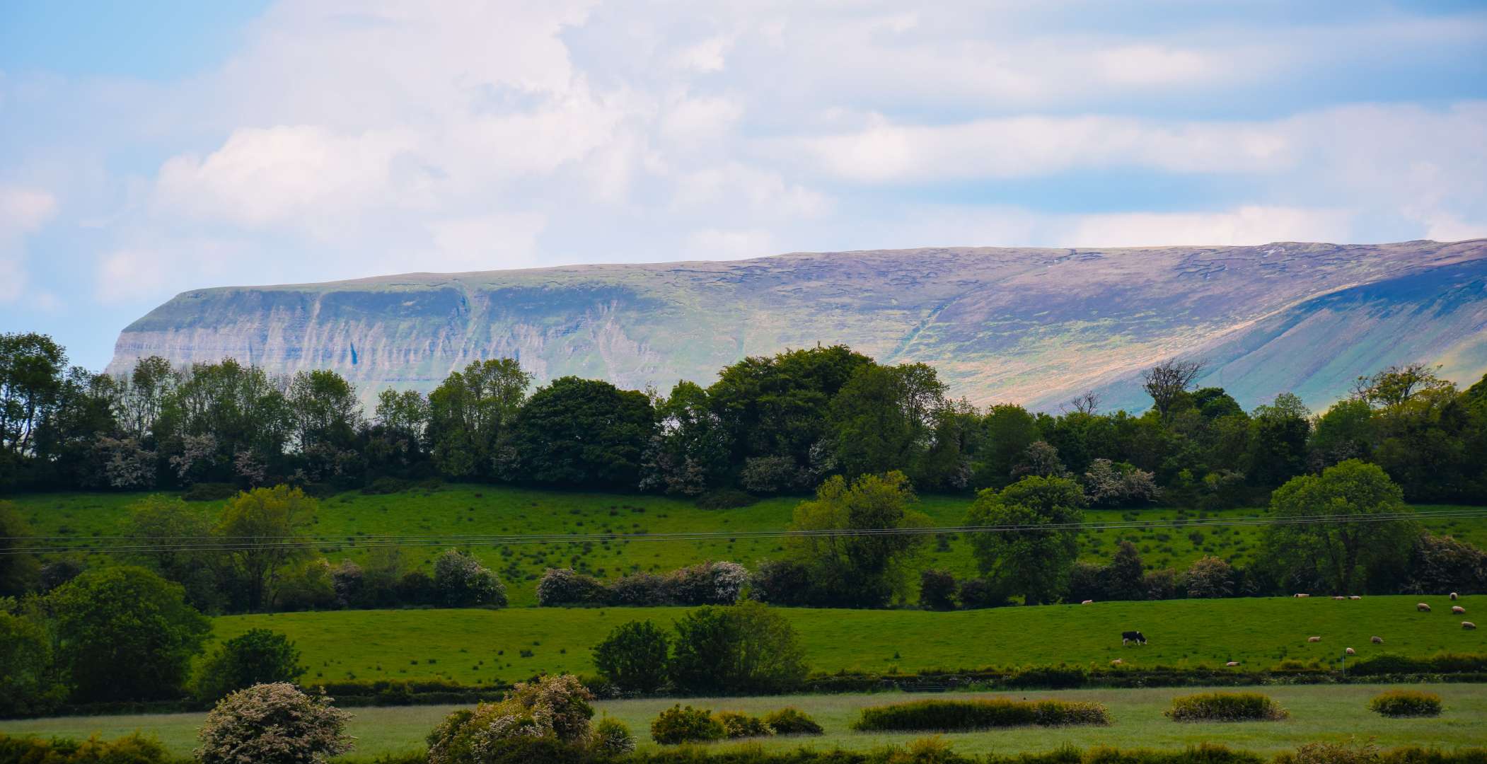 Indicated — Ballysumaghan