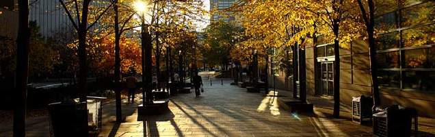 Séjours linguistiques à Toronto avec Language International